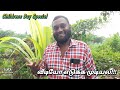 HelloMaster's முழு வீடியோ எடுக்க முடியலங்க!!!🤗 Childrens Day Special Video🤩 #hellomasters