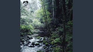 The River Is Getting Colder