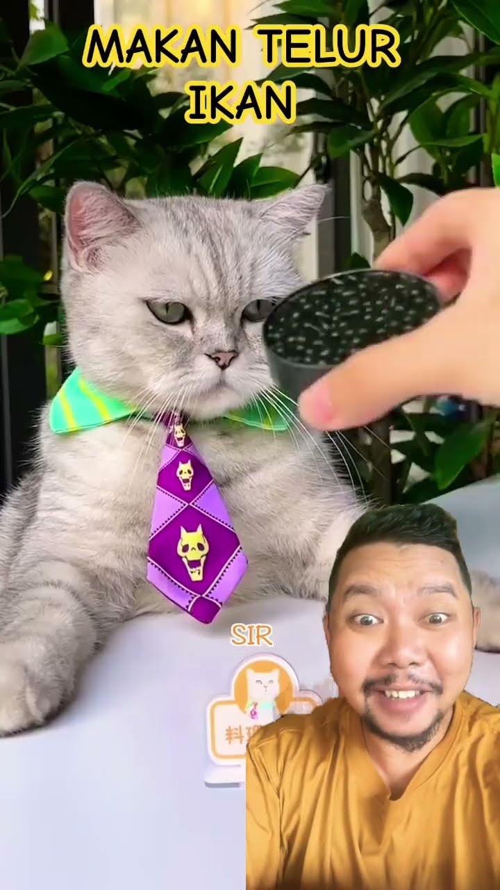 Makan Telur ikan enak Banget!!!?#shortsfeed #short #shortsvideo #caviar