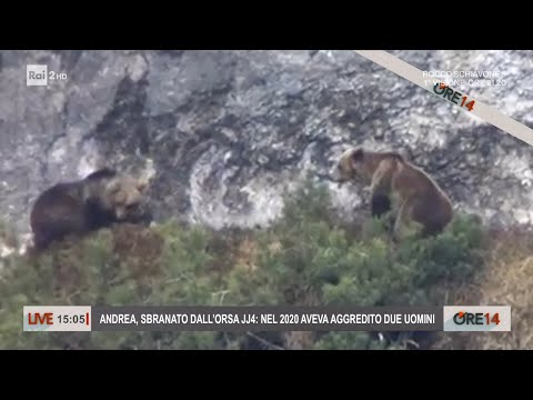 Video: Croviana descriere și fotografii - Italia: Val di Sole