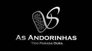 As Andorinhas - Trio Parada Dura - Intro Acordeon - Saimon Gaiteiro