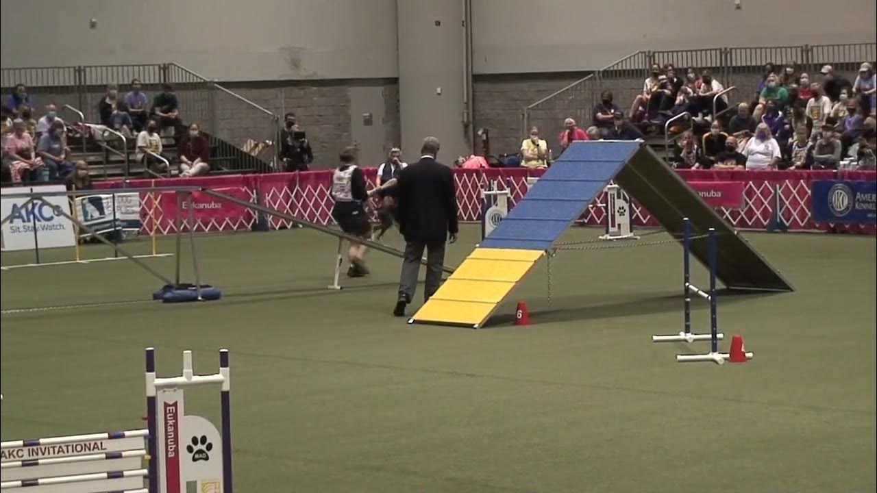 Strip Smith — AKC Invitational YouTube