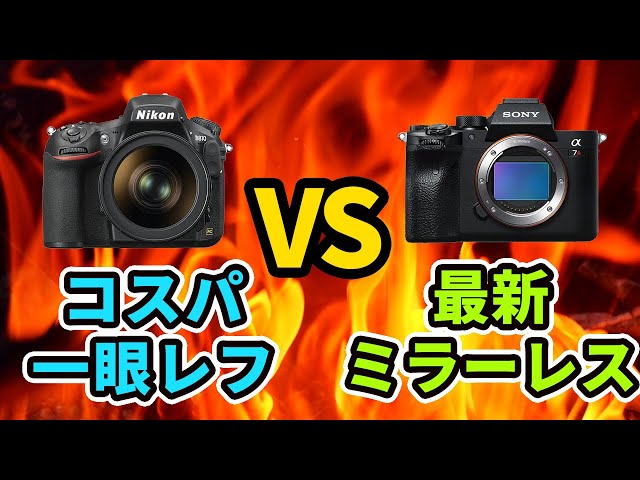 人物作例] Nikon D810 VS Sony α7RIV コスパの一眼レフVS最新