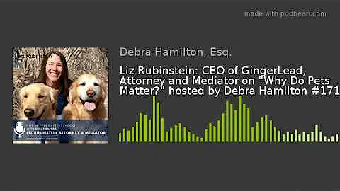 Liz Rubinstein: CEO of GingerLead, Attorney and Me...