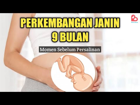 Perkembangan Janin 9 Bulan yang Ideal, Momen Jelang Melahirkan