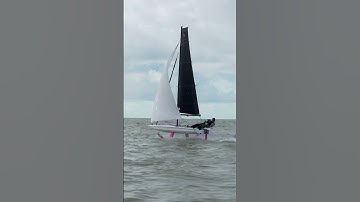 Foil french touch | BirdyFish