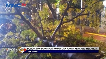 Hujan Deras Disertai Angin Kencang Melanda Ibu Kota, Pohon Tumbang Timpa Pemotor - LIP 25/11