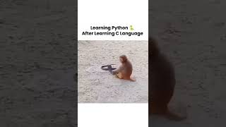 Learning Python After C Programming 😂 | From #include Hell to print() Heaven #python #c