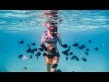 Blazing Hot Bora Bora || Sailing the Society Islands, French Polynesia