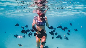 Blazing Hot Bora Bora || Sailing the Society Islands, French Polynesia