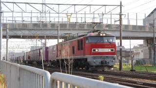 EF510-7 3096レ 越前花堂駅にて