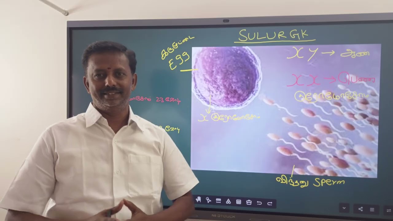 Определяется ли честь и позор детей воспитанием родителей или связью с планетами? Сулур ГК Астро