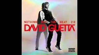 David Guetta I Can Only Imagine (feat. Chris Brown and Lil Wayne)