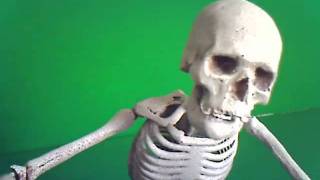 I CAN ANIMATE skeleton attack STOP MOTION