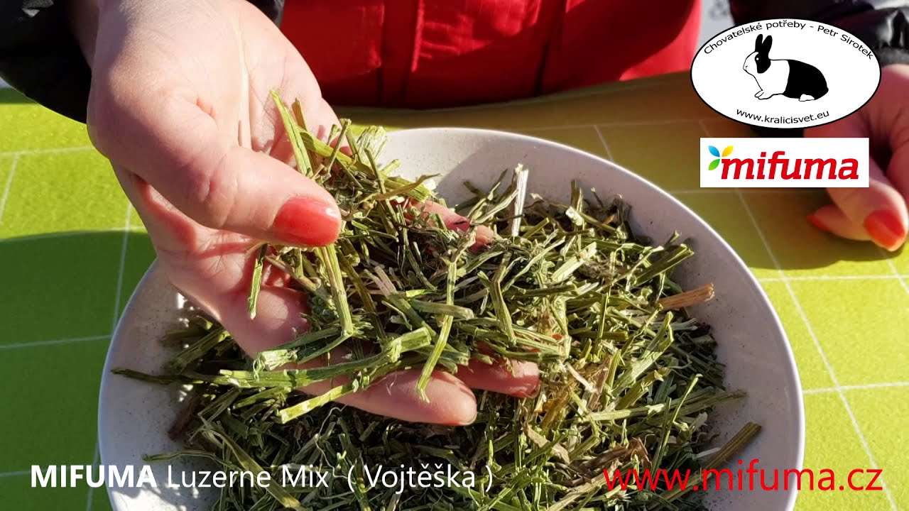 MIFUMA Luzerne Mix 