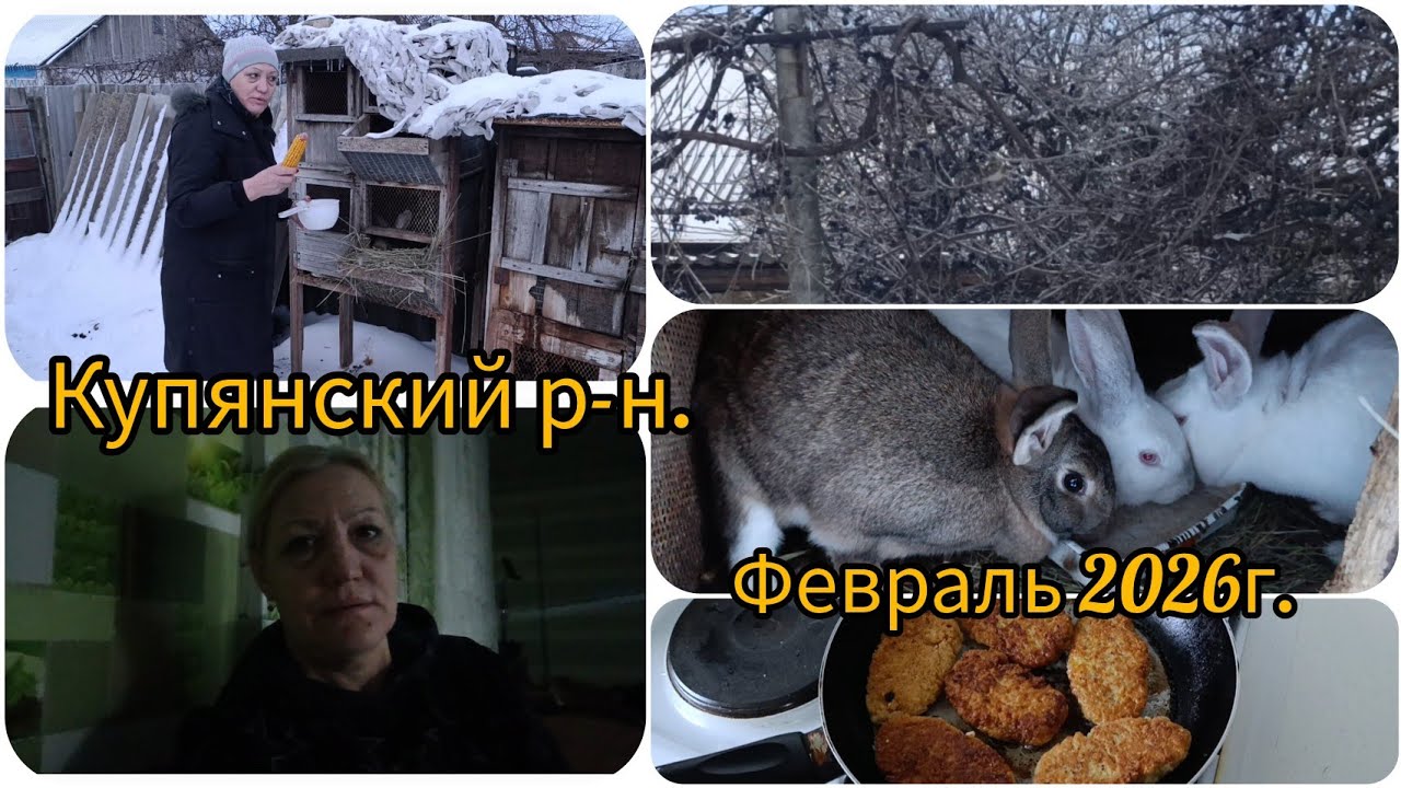 От взрывной волны открылись двери.😱Жизнь в селе как есть#овсяныекотлеты/Квашеная капуста готова🥬