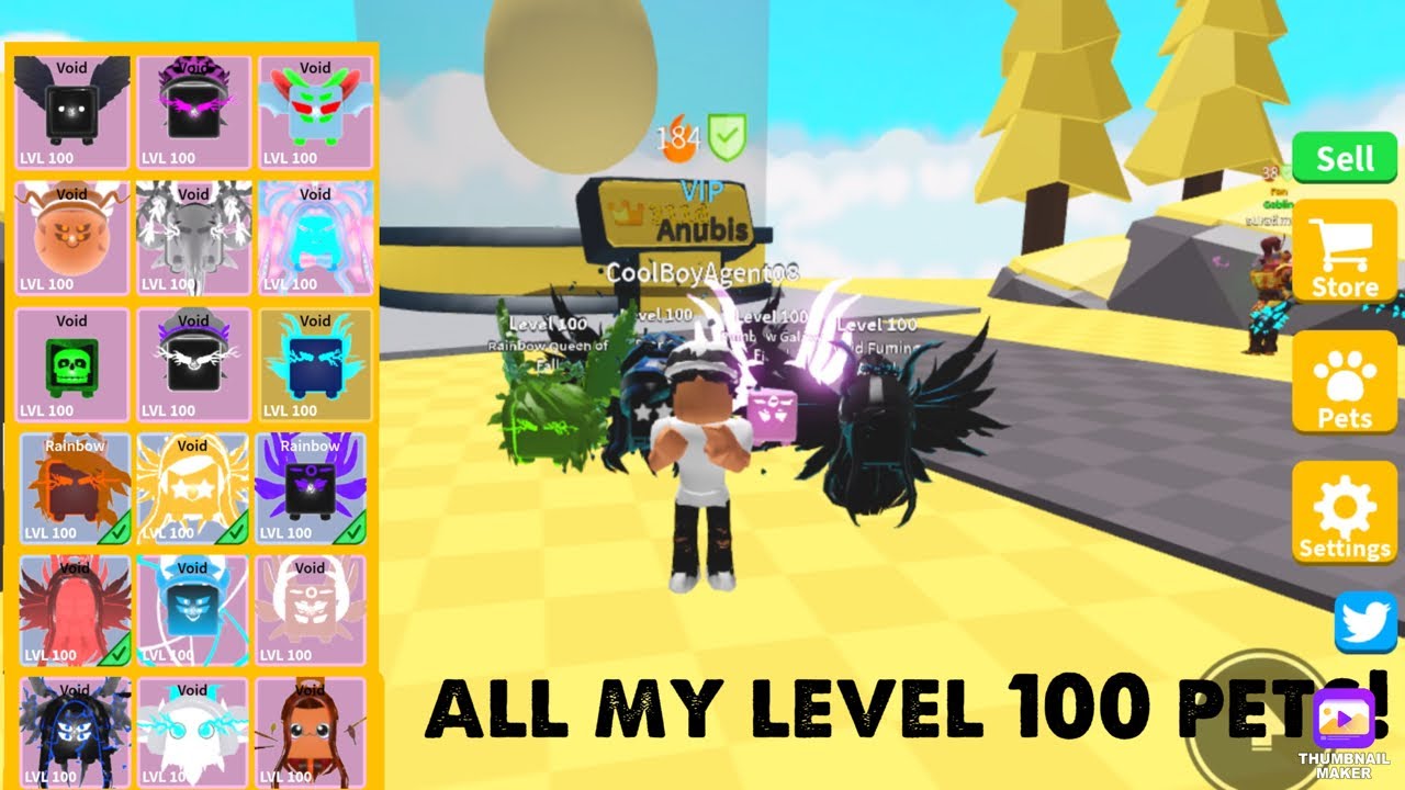 All my level 100 pets! Saber Simulator YouTube