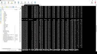 OceanStor Dorado SAN POC HyperMetro Online Deployment & A A Balancing