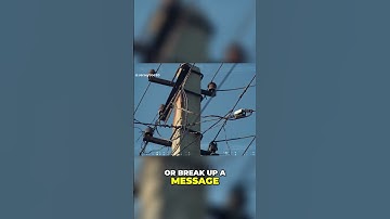 The Forgotten Pause Break Keyboard Key  A Brief History & Irrelevance Today CLIP #shorts