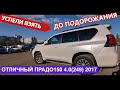 Удачный подбор - Ленд Крузер Прадо. Будни автоподбора - перекуп с Крузаком, "бешеный" на Тундре.