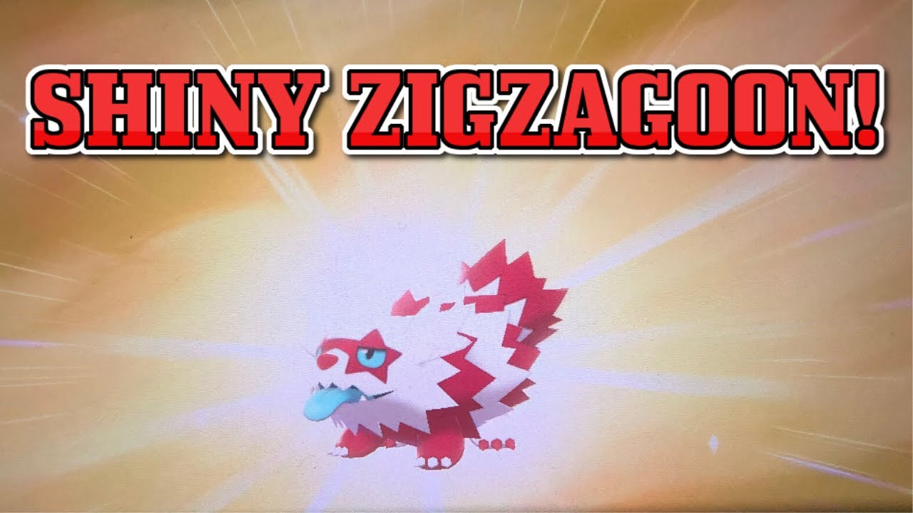 Shiny Zigzagoon in Pokemon Sword and Shield! First Gen 8 Shiny! YouTube