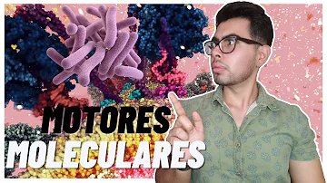 ¿Cómo se genera el movimiento de un carro molecular?