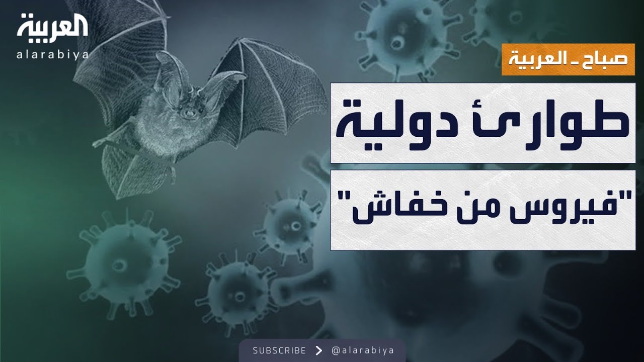 ���� ������� | ��� ����� ������ ��� ������ ����� ���� �� �����
