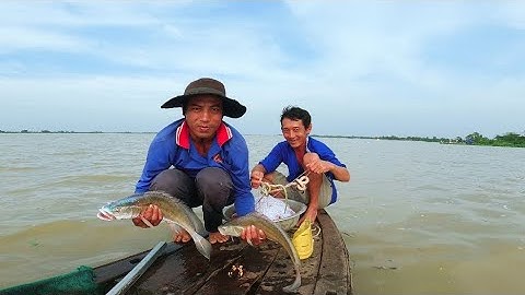 Giăng Câu Sông Tiền Trúng Bầy Cá Sủ, Cá Lên Nhìn Đã Con Mắt #66TV #sănbắtđồngtháp #mekongriverfish