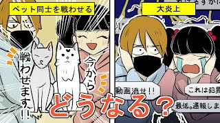 【動物虐待】視聴数欲しさにペット同士を戦わせたYoutuberカップルが大炎上…その結末は？(漫画)【法律系マンガ動画】