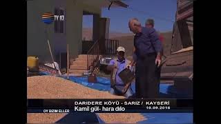 Yıllar Öncesinden Kalan O Kayıt… Kamil Gül – Hara Dılo | Darıdere