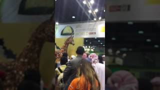 Download Lagu Shk.mansoor bin zayed al nahyan festival MP3