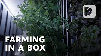 Inside a High-Tech Freight Farm: Fresh Greens in the Dead of Winter
