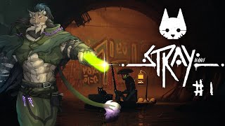 【Stray-1】ﾈｺﾁｬﾝ【闇の戦士兼シナリオライター系ケモノVtuber】