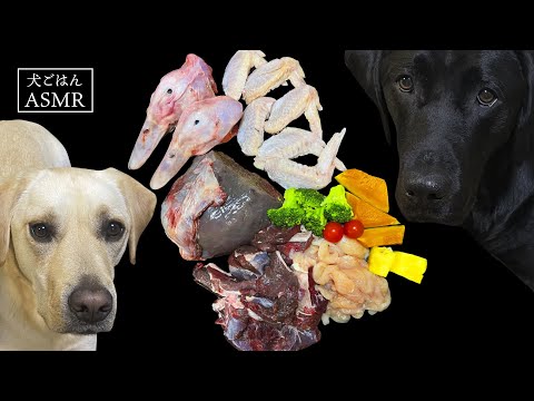 【ASMR  犬ごはん】緑イ貝とマイタケエキスのサプリ入りでシニアを意識し始めたティコレミちゃんの朝ごはん/Raw Feeding/Dogs asmr/犬の咀嚼音