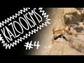 KAZOOISMS #4 - Here Comes Trouble
