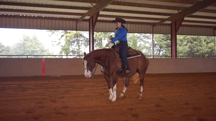 Kathryn Gauthier Reining