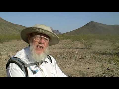 Grumpy Jii-san gets his Wings (every time a bell rings,)