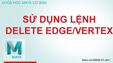 Học Maya sử dụng lệnh Delete Edge Vertex trong menu Edit Mesh