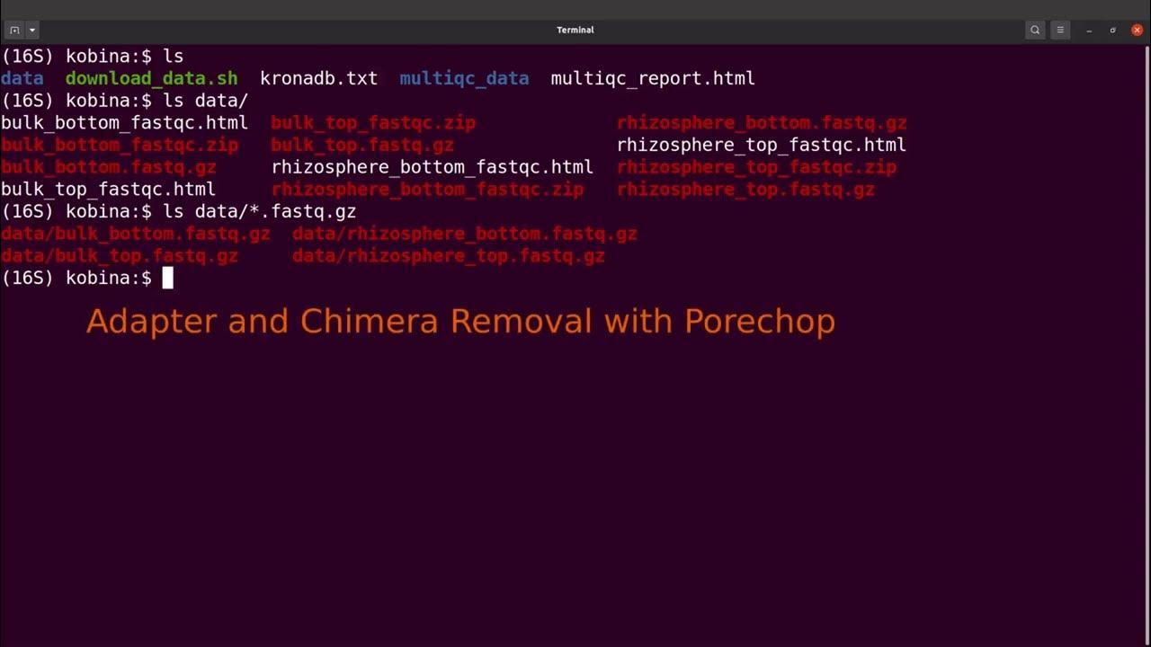 Porechop tutorial | remove adapers and chimera from nanopore data - YouTube