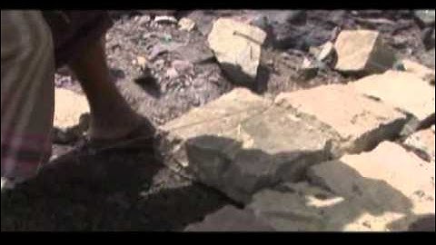 Safety Nets in the Developing World