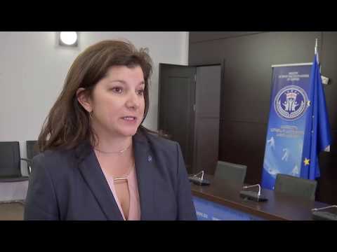 შეხვედრა ჩეხეთის დელეგაციასთან