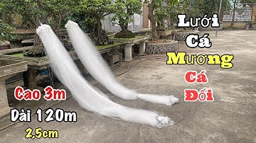 Lưới Cá Mương - Cá Đối.( Cao 3x120m 2,5cm) Đánh Nổi. Bao Bén Tuyệt Đối. Zalo/ 0938.336.470 A Đẩu