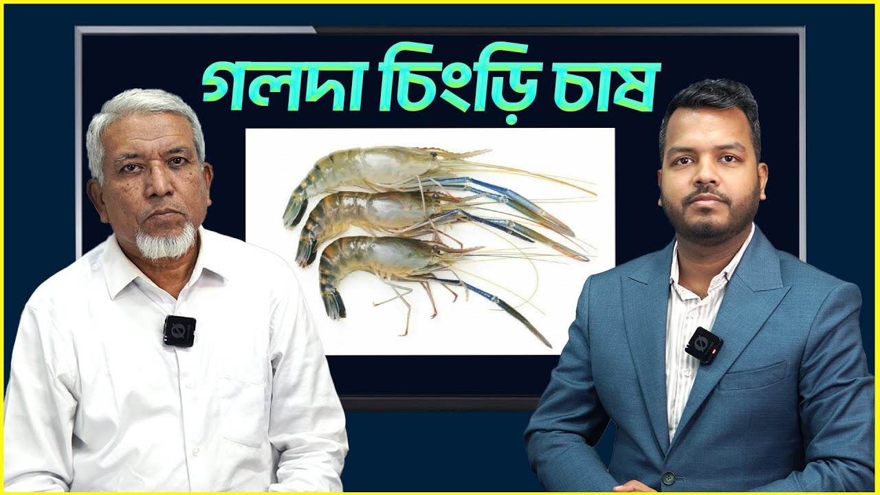 গলদা চিংড়ি চাষ || গলদা চিংড়ি চাষের বিস্তারিত || Shakib Agro || গলদা চিংড়ি চাষের ফ্রি ট্রেনিং