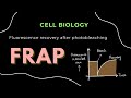 Fluorescence recovery after photobleaching (FRAP) | Cell Biology | GATE/CSIR-NET