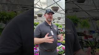 Spring is HERE! See Why Everyone’s Rushing to This Garden Center!