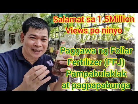Video: Well Established' Mga Halaman sa Hardin: Gaano Katagal Bago Matatag ang Mga Halaman