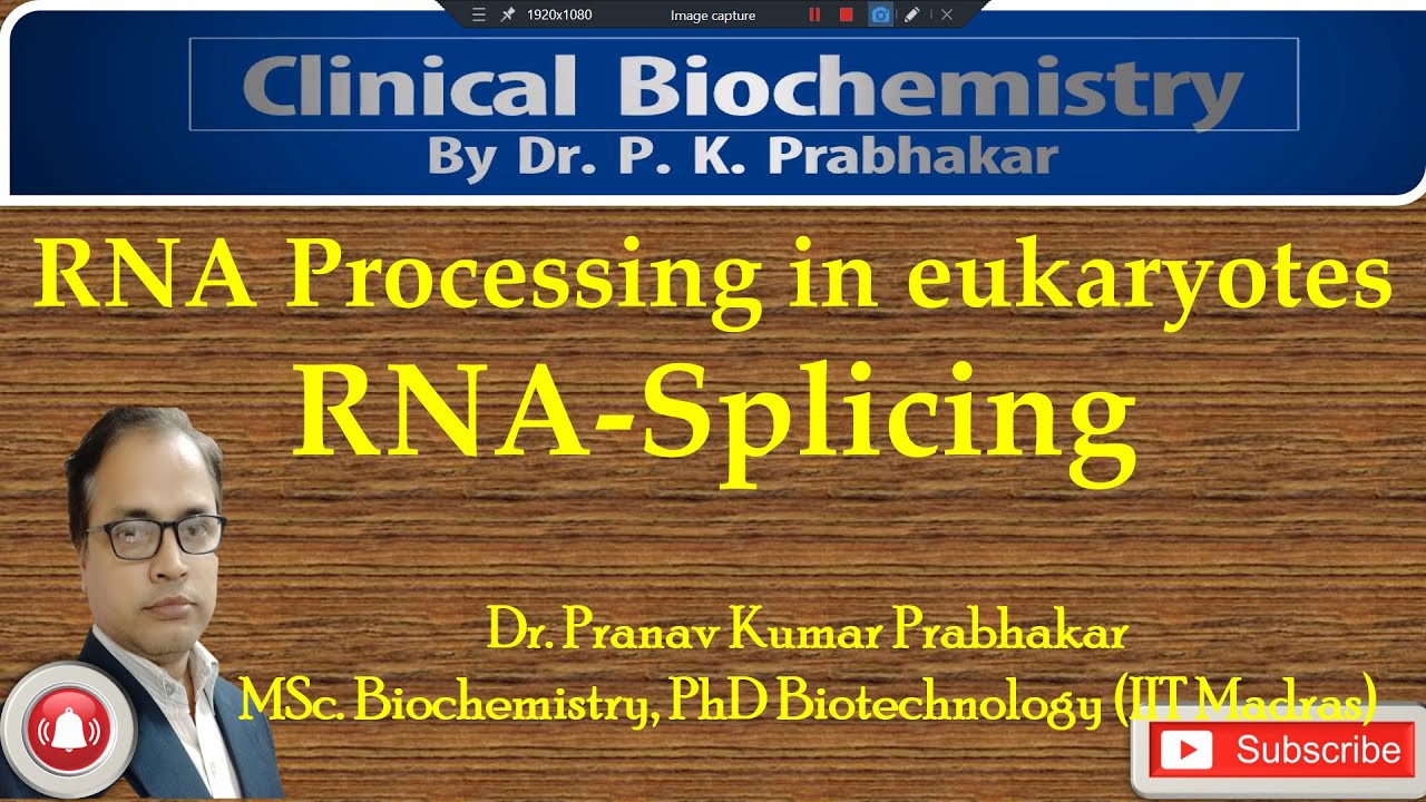 Post Transcriptional Processing of Eukaryotic RNA: Splicing - YouTube