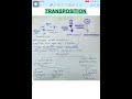 Transposons | Jumping Genes |Transposition| Movement | DNA  #csirnet #biology #lifescience #neet