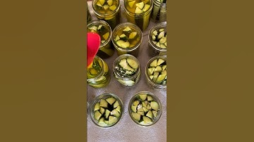 MAKING Pickles SHOULDN’T Be Hard @MakeitMake