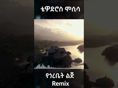 Tewodros Mosisa Ye Gorebet Lij Remix